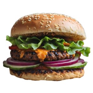 Vegetarian Burger Kit : Packs of 2 sets