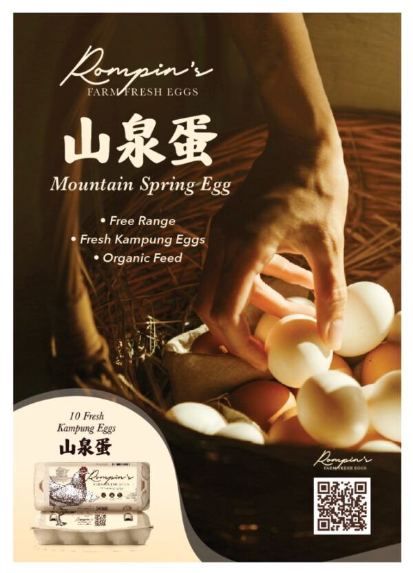 (E1) Real's KAMPUNG EGGS 10s