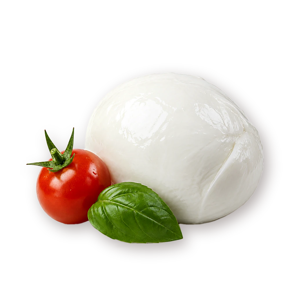 (C6) Fresh Mozzarella 125g